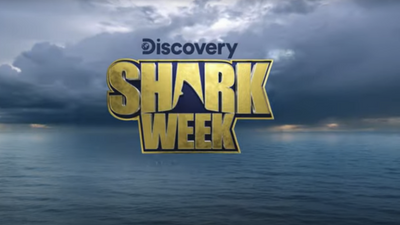 Shark Week 2023 Kicks Off With Orcas As Great White Shark 'Serial Killers' In History-Making Belly Of The Beast Special