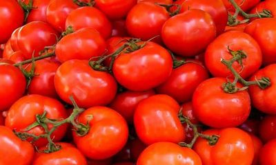 Prices of tomato expected to come down with increase in arrival of new crop from Maharashtra: Govt to Rajya Sabha