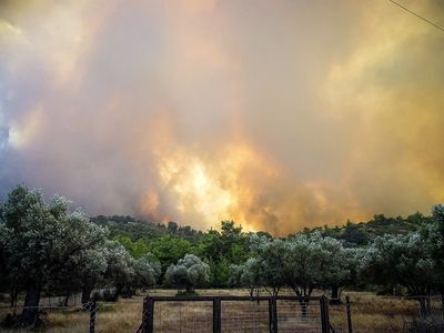 Wildfires on Greek island of Rhodes force thousands of holidaymakers to evacuate