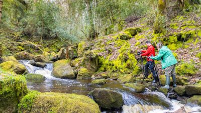 10 pro tips for wonderful waterfalls: how to take scenic shots of streams