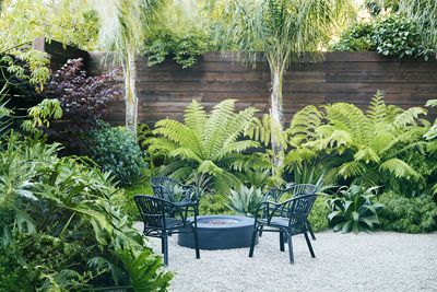 'It suddenly makes your backyard look tropical.' The 3 best plants to grow under palm trees for a lush and layered look