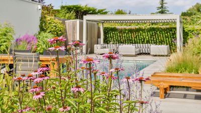 Vacation vibes this way - the 12 best plants to place around pools work in any backyard for a feeling of glorious relaxation