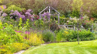 Why every gardener should know about the 3-hour gardening rule – professionals offer this warning