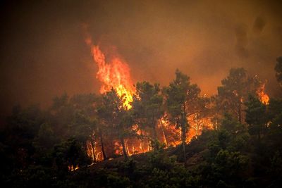 Holidays and flights to Greek island ravaged by fire cancelled