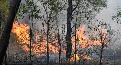 How gender and racial exclusion are driving Australia’s megafires