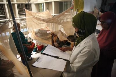 More than 170 dead as Bangladesh grapples with dengue ‘epidemic’
