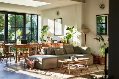 I tried a new product that aims to give you healthier houseplants - and I have thoughts all plant parents need to read