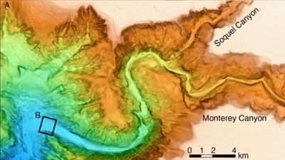 Clearest-ever seafloor maps show deep-sea 'Grand Canyon' off US coast in stunning detail