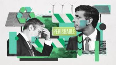 Will Sunak and Starmer drop green policies to win voters?