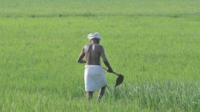4.1 lakh hectares irrigation potential created in Telangana under PMKSY-AIBP: MoJS