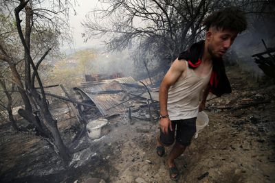 Wildfires in Algeria kill dozens, force hundreds to flee homes