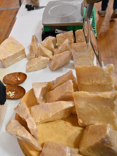 Parmesan Probiotics Boost Memory In Aging Adults, Study Suggests