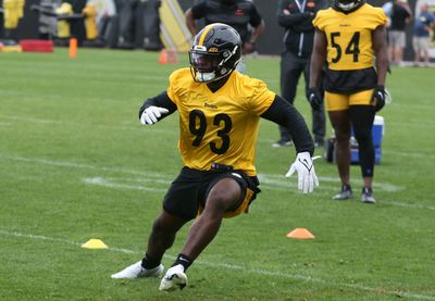 Pittsburgh Steelers training camp preview: Inside linebacker