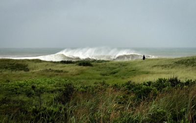 Barack Obama’s personal chef found dead in Martha’s Vineyard lake