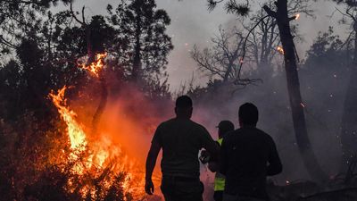 Fires kill at least 34 in Algeria as fears grow they will spread to Tunisia