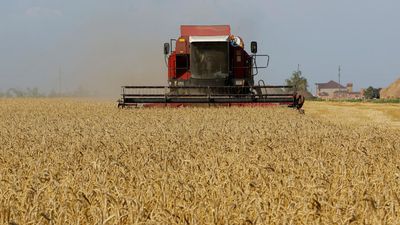 France, Germany oppose extending Ukraine grain curbs