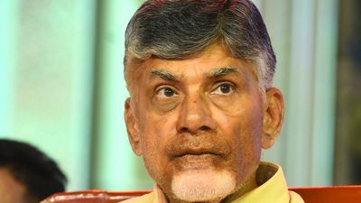 Naidu demands White Paper on agriculture in Andhra Pradesh