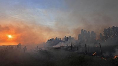 Intense summer heatwave brings death and wildfire to Mediterranean countries