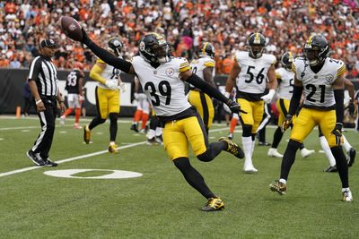 Pittsburgh Steelers training camp preview: Safeties