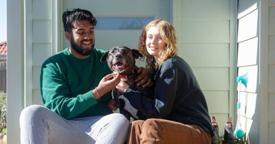 After 259 days in the pound, Aero finally finds her forever home