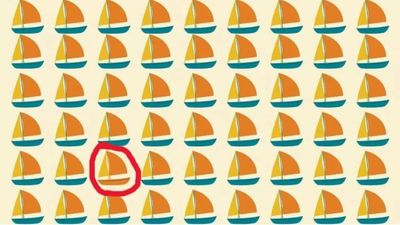 Brain test: Spot the odd boat out in 10 seconds