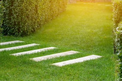 Don't ignore them! These 7 signs are your lawn asking for help – here's how to fix them and save your grass