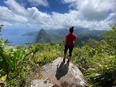 Why now’s the time to explore the ‘quiet revolution’ of St Lucia’s wild side