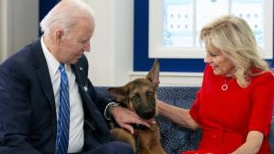 White House to doghouse: Biden’s German shepherd bites Secret Service agents