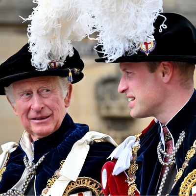 Amidst Prince Harry Drama, King Charles and Prince William are Closer than Ever, Royal Expert Says