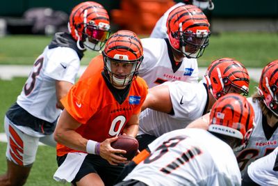 Bengals have ‘mini-scuffle’ on first day of training camp before Joe Burrow TD