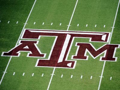 A Texas A&M professor was suspended for allegedly criticizing lieutenant governor