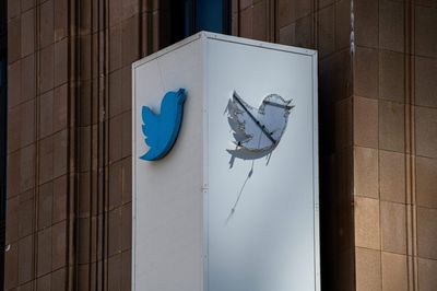 X employees paint Twitter offices black and go 'bird hunting'