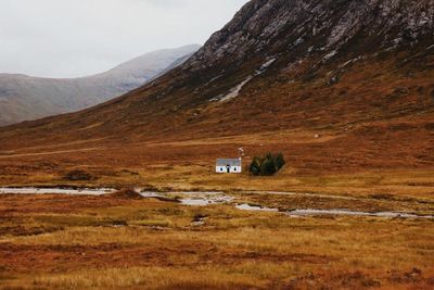 Scottish land reform efforts 'too fragmented and piecemeal', expert says