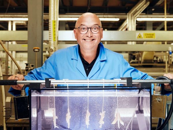 Channel 4 viewers bamboozled by Gregg Wallace mockumentary about ‘eating human meat’