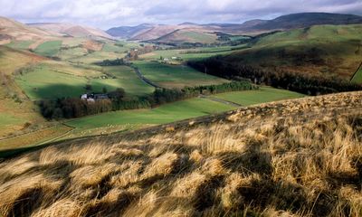 Ministers need to be bolder over Scotland’s land reforms, say campaigners