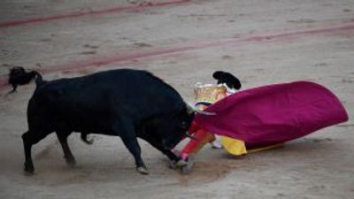 Bull gores the ‘Messi of matadors’