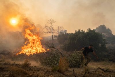 Infernos, black skies and fleeing tourists: Greece wildfires in pictures as blazes ravage Corfu and Rhodes