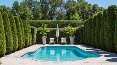 Best way to clean pool tiles – 7 steps to remove scum, algae and calcium
