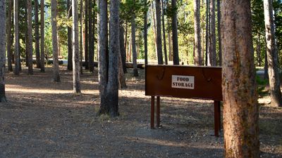 Please, please don't fill bear boxes with trash when you're camping