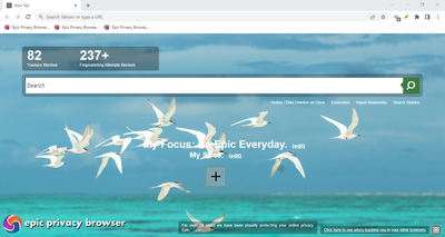Epic Browser Review: Features, Usage, and Competition