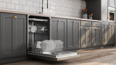 How often should you clean a dishwasher? Expert tips you simply can't ignore