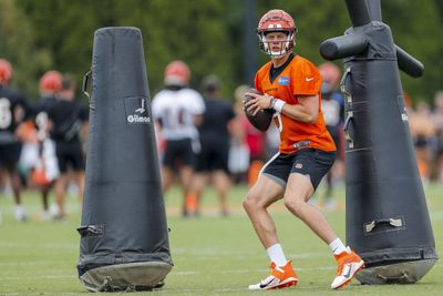 Joe Burrow carted off field at Bengals training camp