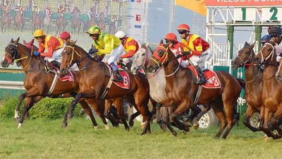 Swift fancied for JE Hughes Trophy