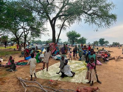 Sudan conflict brings new atrocities to Darfur as militias kill, rape, burn homes in rampages