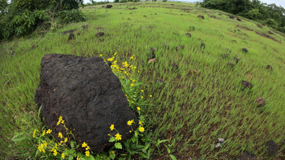 Land-use changes put rocky addresses of animals under stress in Maharashtra’s Sahyadri plateau