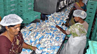 Cabinet clears Nandini milk price hike by ₹3 a litre from Aug. 1