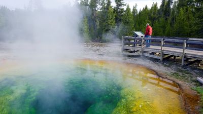 Yellowstone's Morning Glory Pool is a hotspot for vandalism – and it's changed the water