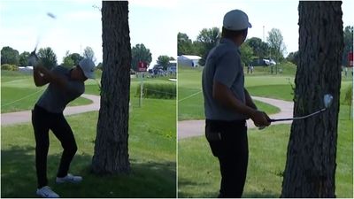WATCH: PGA Tour Pro Bends 9-Iron Around A Tree In Epic Escape