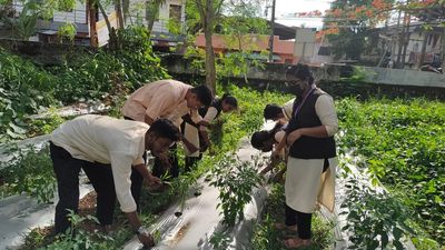 Lessons in sustainability on college campus