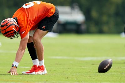 Bengals issue message to fans after Joe Burrow’s injury